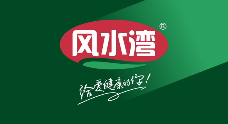 畫冊設(shè)計-風水灣